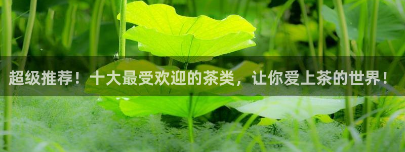 鸿运团队推广平台