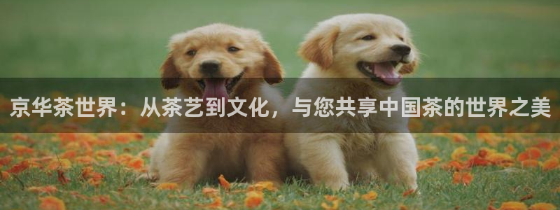 鸿运彩票平台的网址