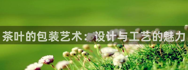 鸿运通借款平台