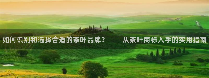 鸿运代还平台