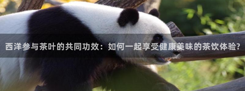 鸿运彩票专业购采平台