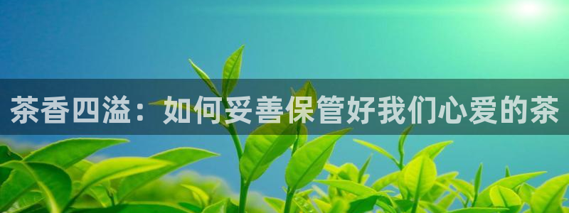 鸿运到平台