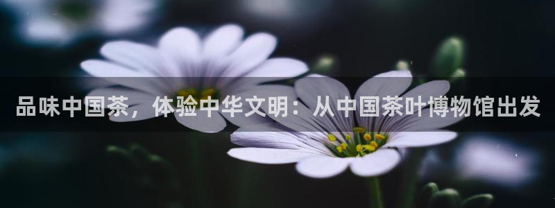 鸿运网络麻将平台