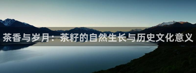 鸿运通平台客服
