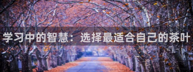 鸿运赌城开户平台