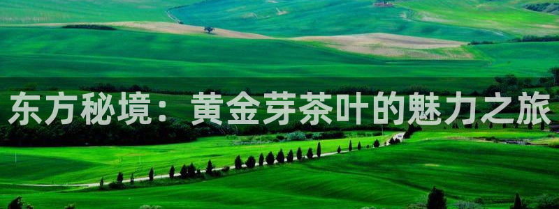 鸿运手机团购平台