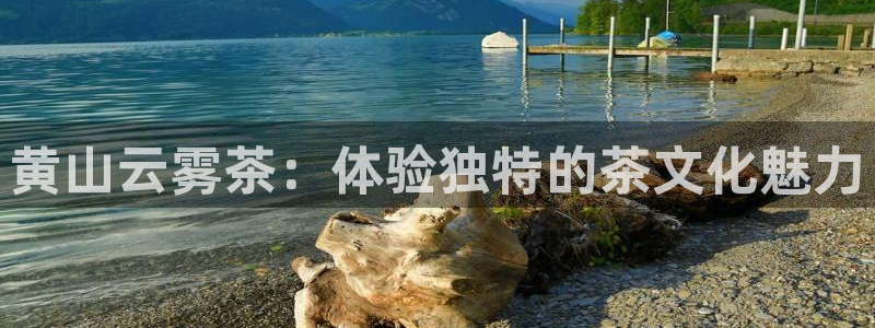 鸿运集团有几个平台
