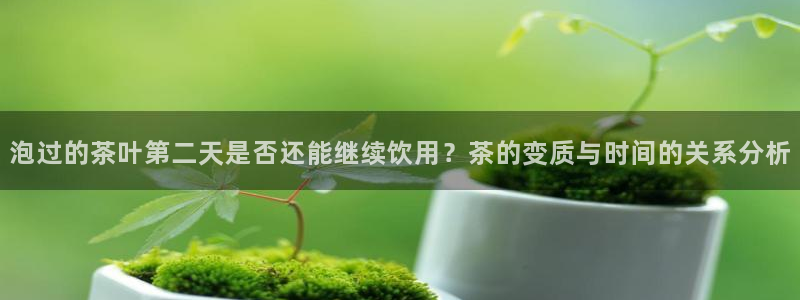 鸿运九九平台
