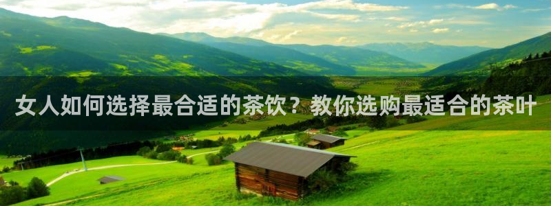 鸿运矿机平台