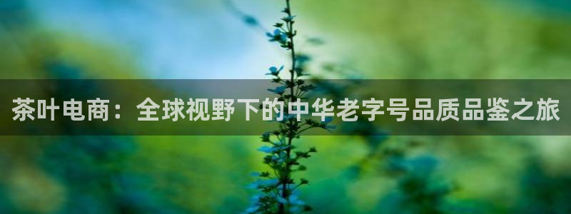 鸿运中国平台