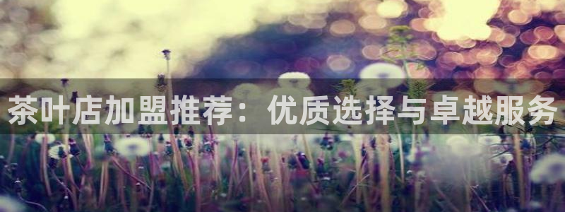 鸿运来投资平台