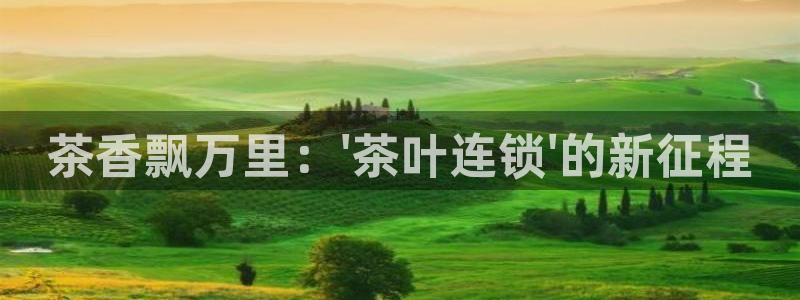 鸿运国际娱平台