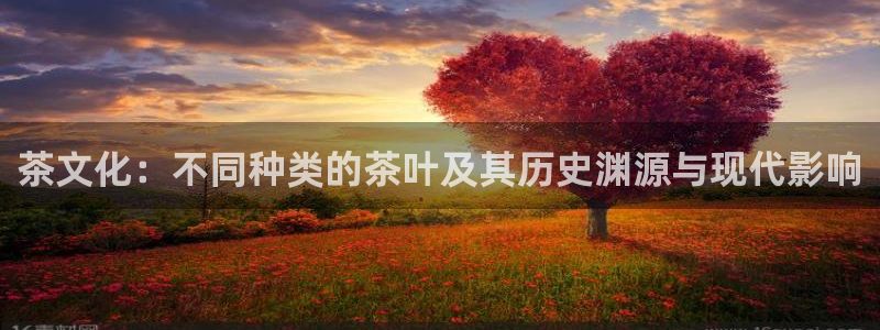 鸿运彩平台
