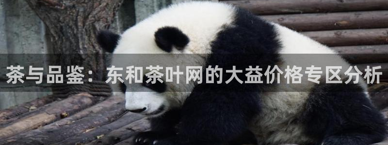 鸿运娱平台