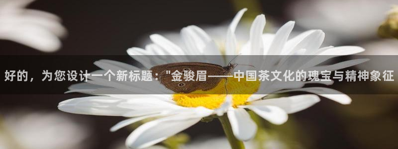 鸿运大秀平台