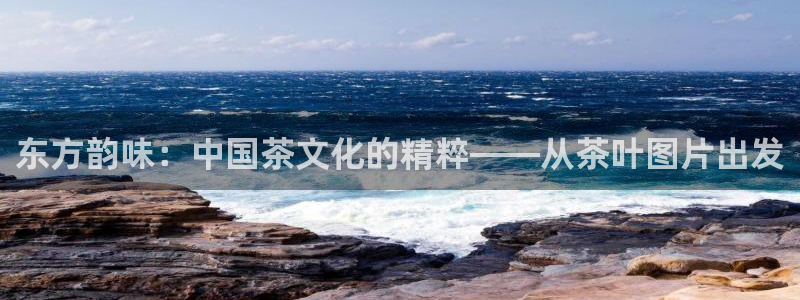 鸿运平台靠谱吗