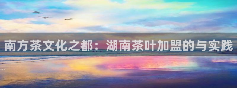 鸿运服务平台官网