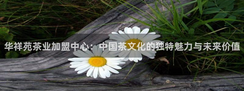 鸿运网是什么平台