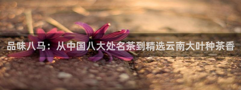 鸿运投资平台是什么平台