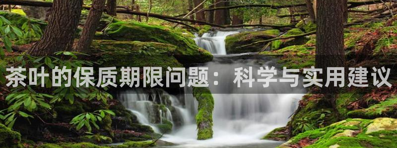 鸿运跑分平台