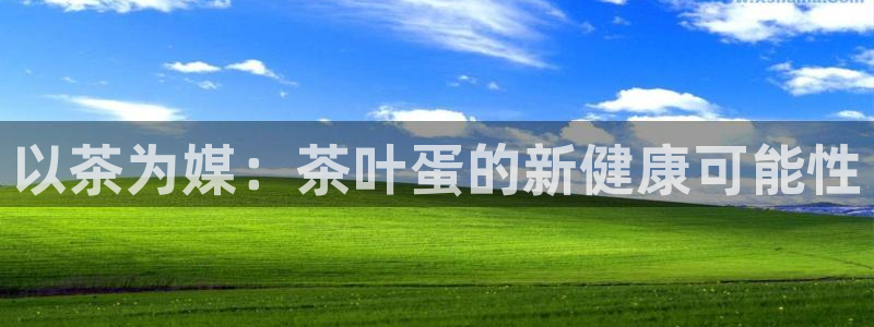 鸿运布艺团购平台