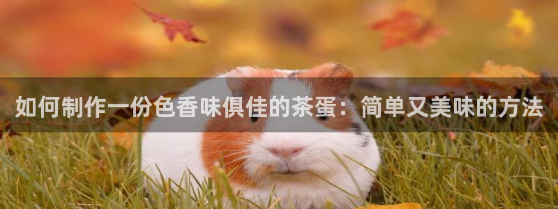 鸿运最新平台叫什么