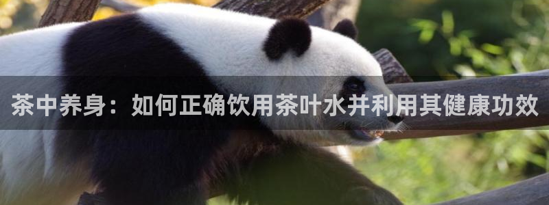 鸿运平台是什么