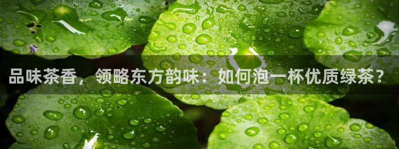 鸿运权威彩票平台