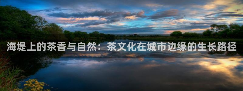 鸿运手游平台