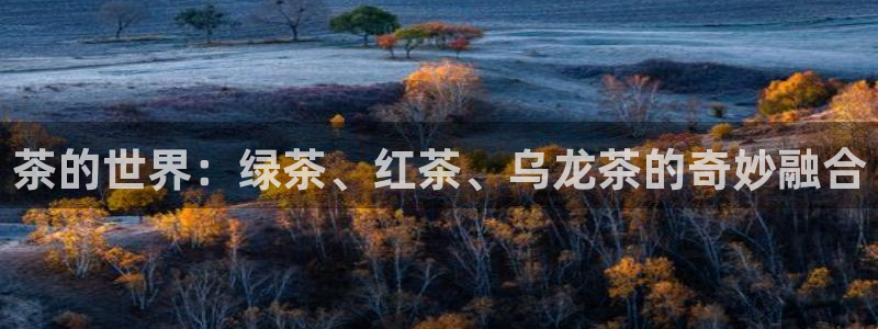鸿运通商平台