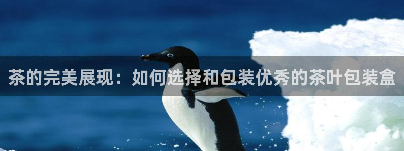 鸿运体彩平台