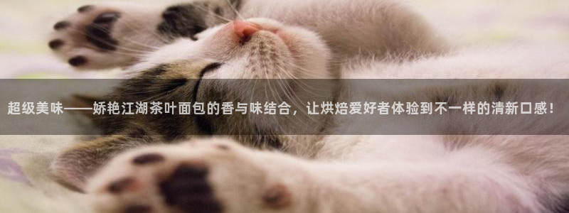 鸿运手机团购平台
