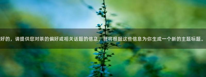 鸿运平台刷投注