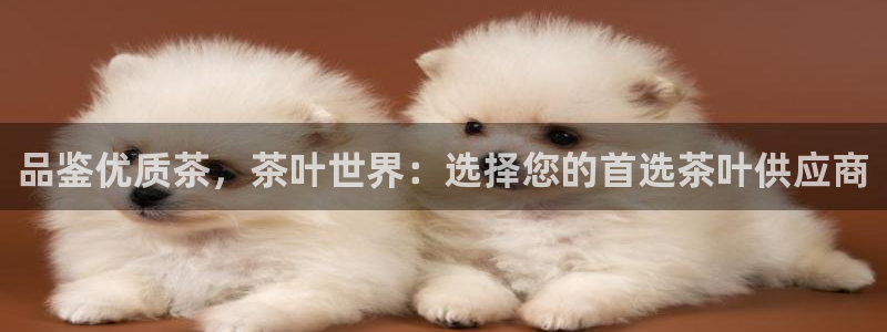 盛世鸿运是什么平台