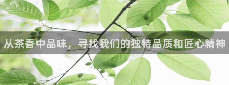 鸿运公司有哪些平台