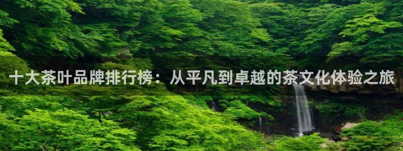 鸿运集团平台招聘信息