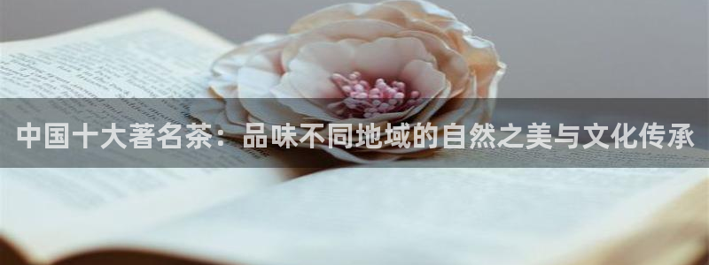 鸿运做单平台