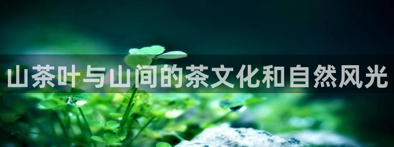 鸿运平台兼职招聘