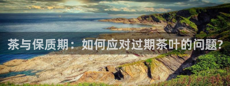 鸿运国际娱平台