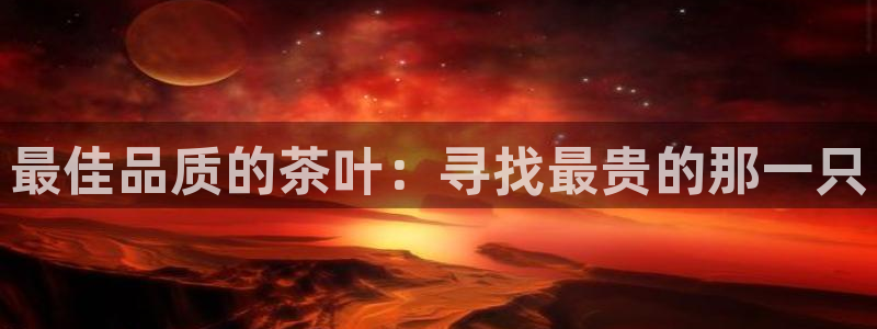 鸿运赌城开户平台
