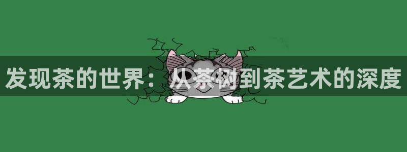 鸿运官方平台