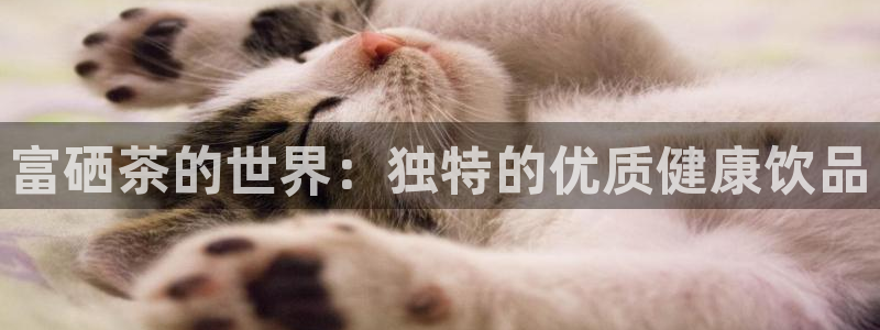 鸿运连连平台