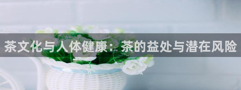 鸿运信投是平台