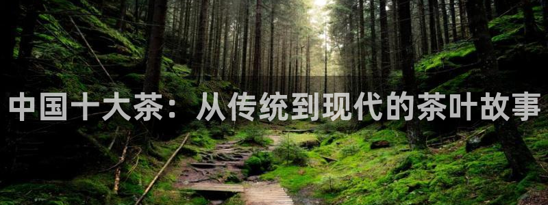 国际鸿运手机版平台