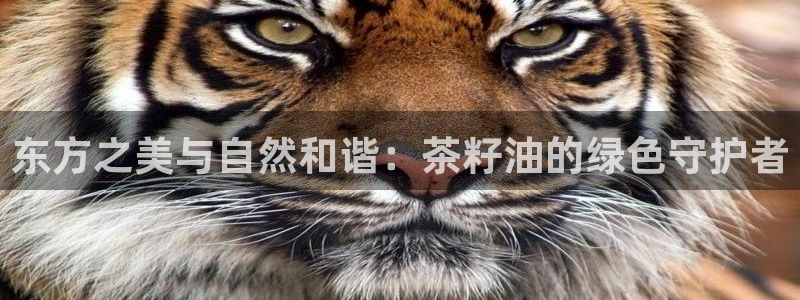 鸿运讲堂平台