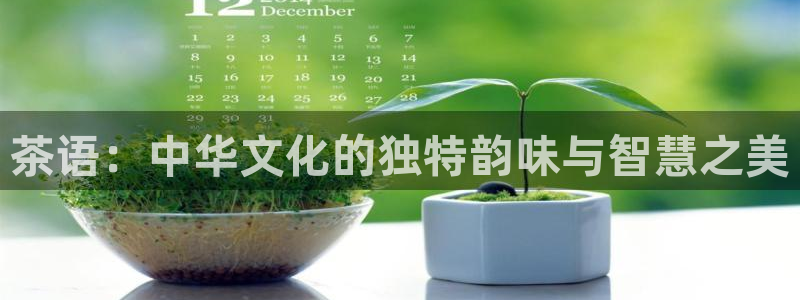 鸿运网投平台