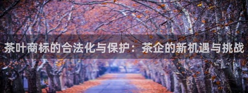 鸿运集团平台