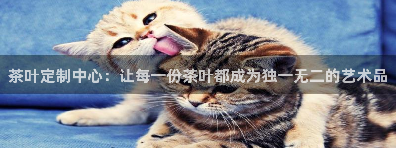 鸿运平台代理