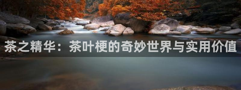 大发云鸿运平台