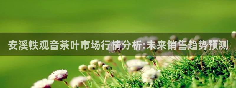 众信鸿运平台